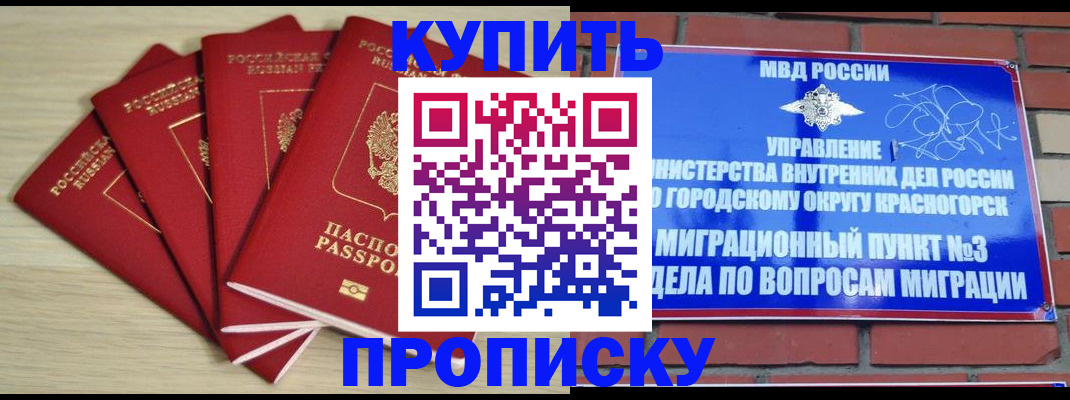 временная регистрация для всех в Павловске